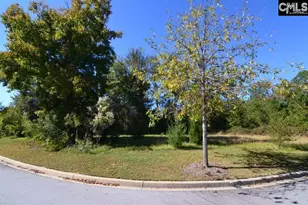 15 Blythe View Ct 9, Blythewood, SC 29016 - Photo 3