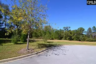 15 Blythe View Ct 9, Blythewood, SC 29016 - Photo 5