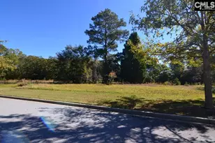 6 Blythe View Ct 14, Blythewood, SC 29016 - Photo 11