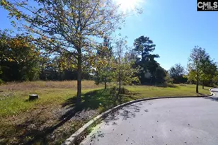 6 Blythe View Ct 14, Blythewood, SC 29016 - Photo 3
