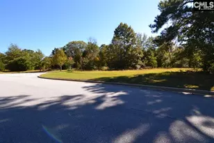 6 Blythe View Ct 14, Blythewood, SC 29016 - Photo 19