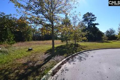 6 Blythe View Court 14 #14, Blythewood, SC 29016 - Photo 5