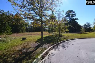 6 Blythe View Ct 14, Blythewood, SC 29016 - Photo 5