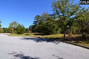 6 Blythe View Ct 14, Blythewood, SC 29016 - Photo 15