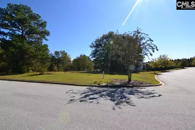 6 Blythe View Court 14 #14, Blythewood, SC 29016 - Photo 23