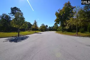 2 Blythe View Ct 15, Blythewood, SC 29016 - Photo 3