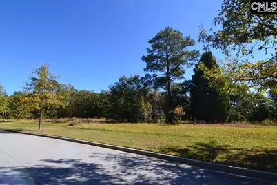 2 Blythe View Court 15 #15, Blythewood, SC 29016 - Photo 5