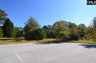 2 Blythe View Ct 15, Blythewood, SC 29016 - Photo 7