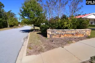 2 Blythe View Ct 15, Blythewood, SC 29016 - Photo 11