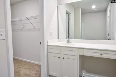 289 Common Reed Drive, Gilbert, SC 29054 - Photo 19
