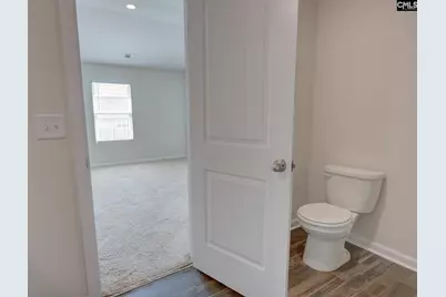 289 Common Reed Drive, Gilbert, SC 29054 - Photo 17