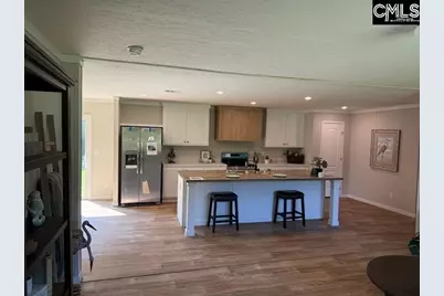 360 Wagontong Road, Wagener, SC 29164 - Photo 3