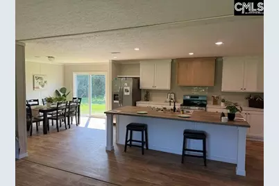 360 Wagontong Road, Wagener, SC 29164 - Photo 1