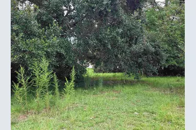 0 Hillsboro Road, Orangeburg, SC 29115 - Photo 3