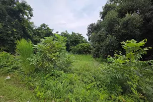 0 Hillsboro Rd, Orangeburg, SC 29115 - Photo 1