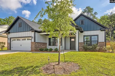 256 Murray Falls Lane, Chapin, SC 29036 - Photo 3