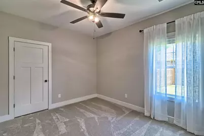256 Murray Falls Lane, Chapin, SC 29036 - Photo 49