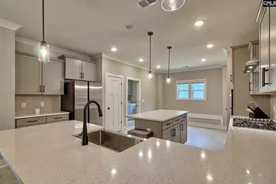 256 Murray Falls Lane, Chapin, SC 29036 - Photo 17