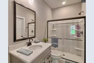 256 Murray Falls Lane, Chapin, SC 29036 - Photo 43