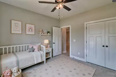256 Murray Falls Lane, Chapin, SC 29036 - Photo 47
