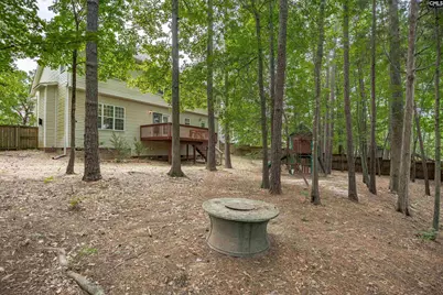 205 Winterberry Loop, Lexington, SC 29072 - Photo 47