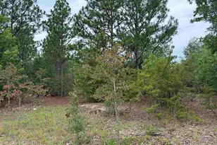 000 C0Llum Pond Rd, Wagener, SC 29164 - Photo 1
