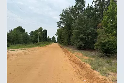 000 C0Llum Pond Road, Wagener, SC 29164 - Photo 3