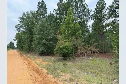 000 C0Llum Pond Road, Wagener, SC 29164 - Photo 5