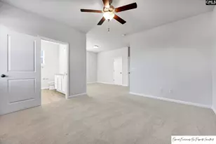 741 Spring Cress Dr, Lexington, SC 29073 - Photo 19