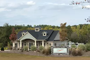 741 Spring Cress Dr, Lexington, SC 29073 - Photo 33