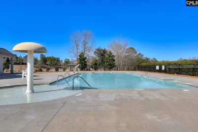 1910 Pink Orchard Court, Lexington, SC 29073 - Photo 35