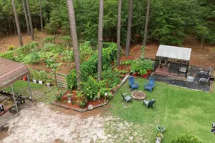 1634 Huttos Chapel, Barnwell, SC 29812 - Photo 15