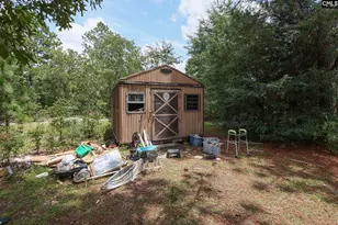 755 Bushberry Rd, Pelion, SC 29123 - Photo 19