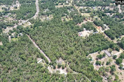 755 Bush Berry Road, Pelion, SC 29123 - Photo 9