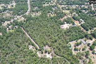 755 Bushberry Rd, Pelion, SC 29123 - Photo 9