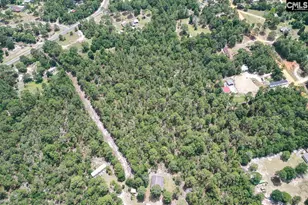 755 Bushberry Rd, Pelion, SC 29123 - Photo 1
