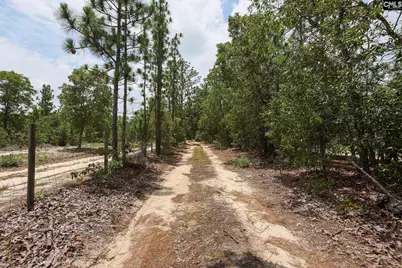 755 Bush Berry Road, Pelion, SC 29123 - Photo 5