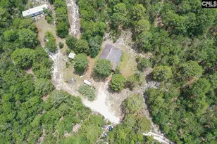 755 Bushberry Rd, Pelion, SC 29123 - Photo 11