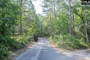 390 McLee Rd, Lexington, SC 29073 - Photo 7