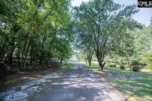 390 McLee Rd, Lexington, SC 29073 - Photo 89