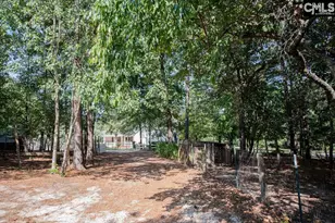 390 McLee Rd, Lexington, SC 29073 - Photo 99
