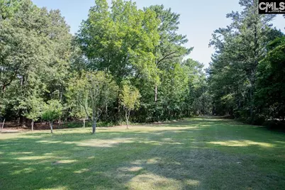 390 McLee Road, Lexington, SC 29073 - Photo 93