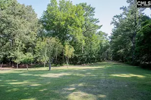 390 McLee Rd, Lexington, SC 29073 - Photo 93