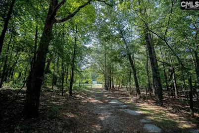 390 McLee Road, Lexington, SC 29073 - Photo 91