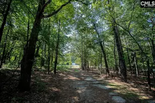 390 McLee Rd, Lexington, SC 29073 - Photo 91