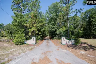 390 McLee Rd, Lexington, SC 29073 - Photo 9