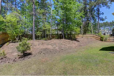 587 Wild Hickory Lane, Blythewood, SC 29016 - Photo 51