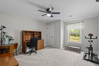 191 Collins Cove Drive, Chapin, SC 29036 - Photo 29