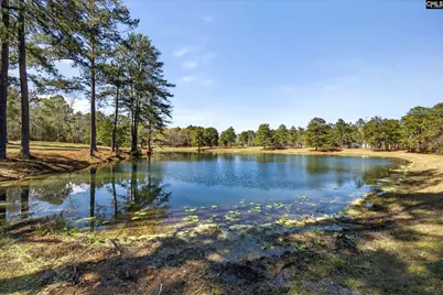 150 Satcher Road, Lexington, SC 29072 - Photo 29