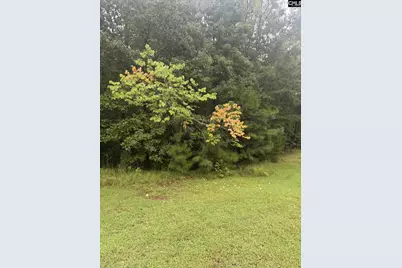 Lot 62 Harbor View Drive #62, Prosperity, SC 29127 - Photo 3
